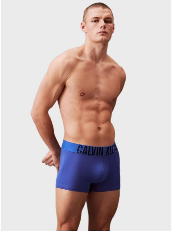 Чоловіча нижня білизна Calvin Klein Intense Power Micro 3-Pack Low Rise Trunk Blue/Grey Sky/Cherry