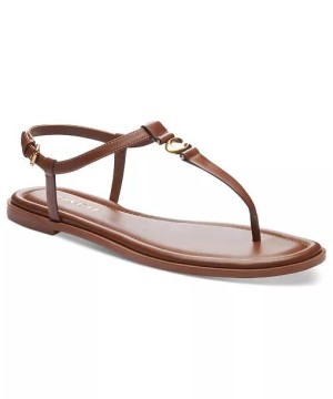 Босоніжки Coach Jessica Sculpted "C" Ankle-Strap Thong Flat, Brown