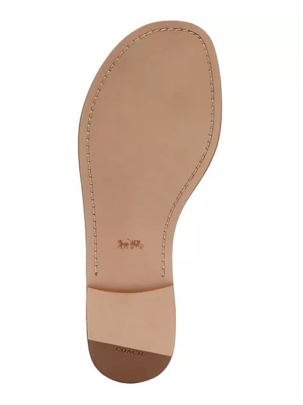 Босоніжки Coach Jessica Sculpted "C" Ankle-Strap Thong Flat, Brown